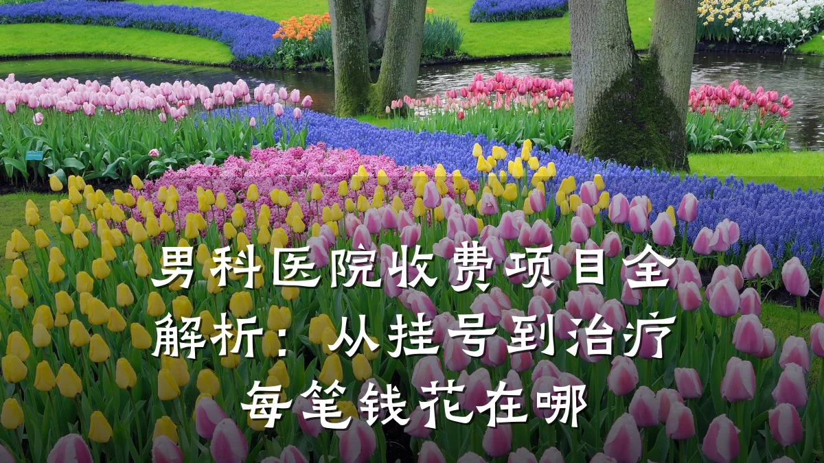 男科医院收费项目全解析:从挂号到治疗每笔钱花在哪