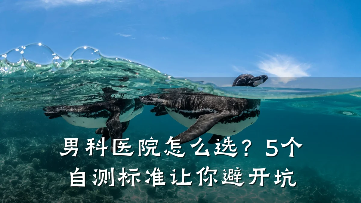 男科医院怎么选?5个自测标准让你避开坑
