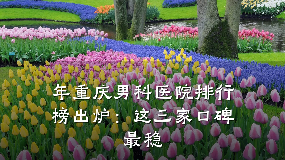 年重庆男科医院排行榜出炉:这三家口碑最稳