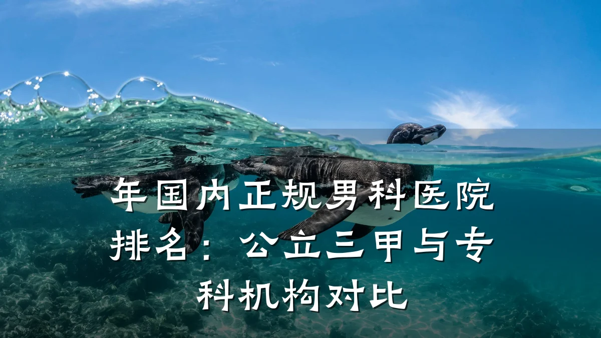年国内正规男科医院排名:公立三甲与专科机构对比