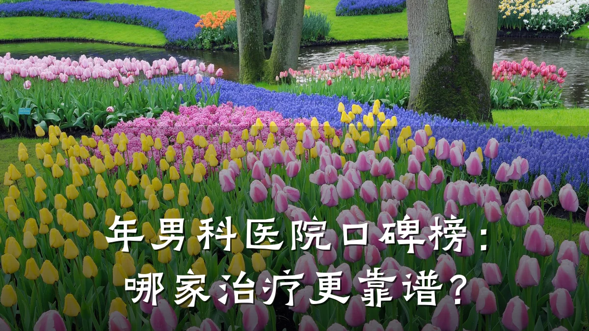 年男科医院口碑榜:哪家治疗更靠谱?