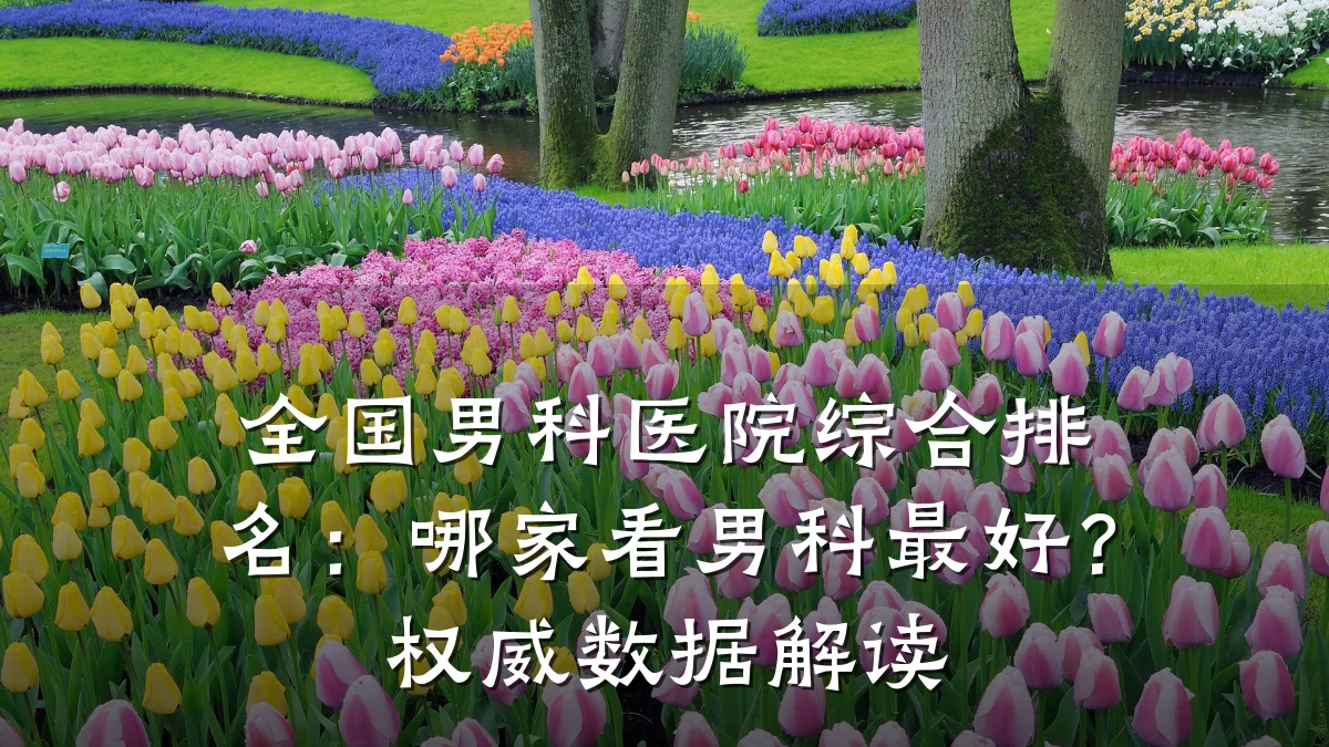 全国男科医院综合排名:哪家看男科最好?权威数据解读