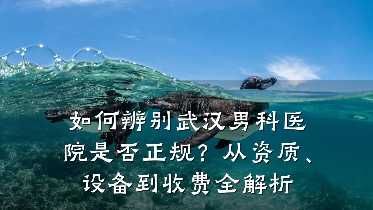 如何辨别武汉男科医院是否正规?从资质、设备到收费全解析