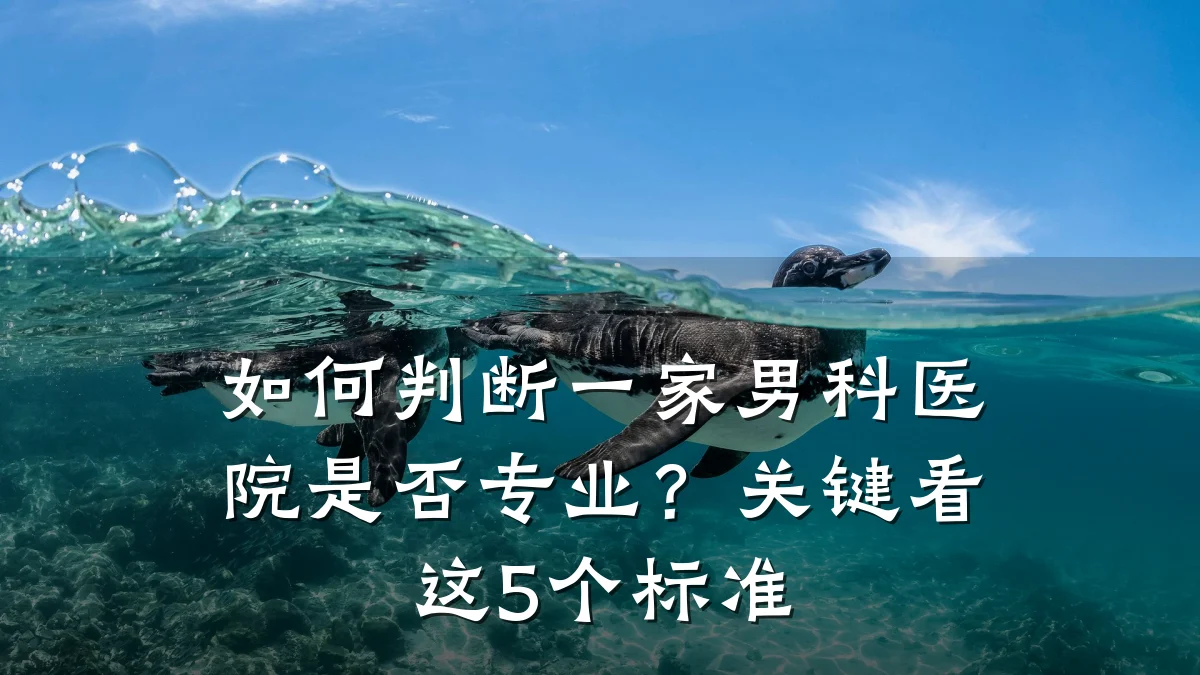 如何判断一家男科医院是否专业?关键看这5个标准