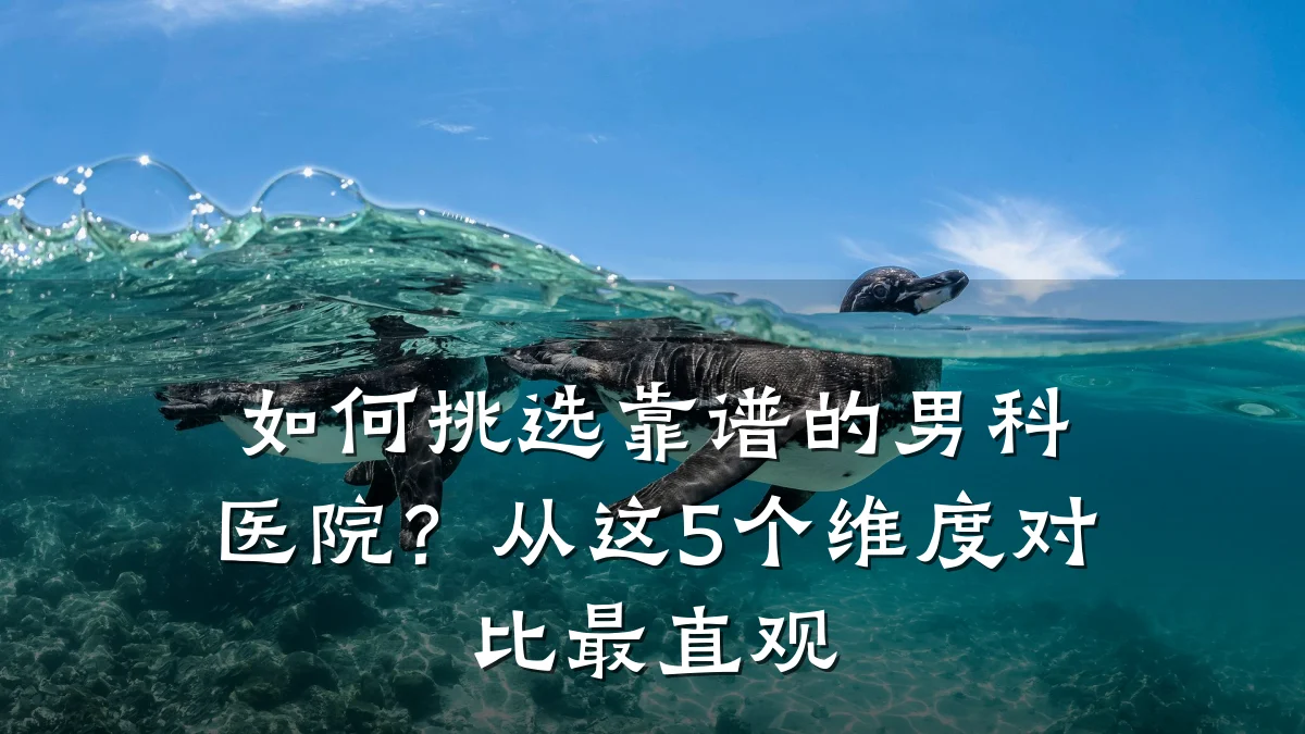 如何挑选靠谱的男科医院?从这5个维度对比最直观