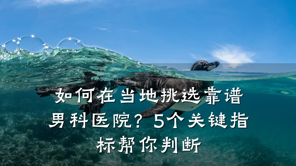 如何在当地挑选靠谱男科医院?5个关键指标帮你判断