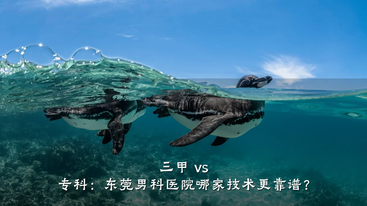 三甲 vs 专科:东莞男科医院哪家技术更靠谱?