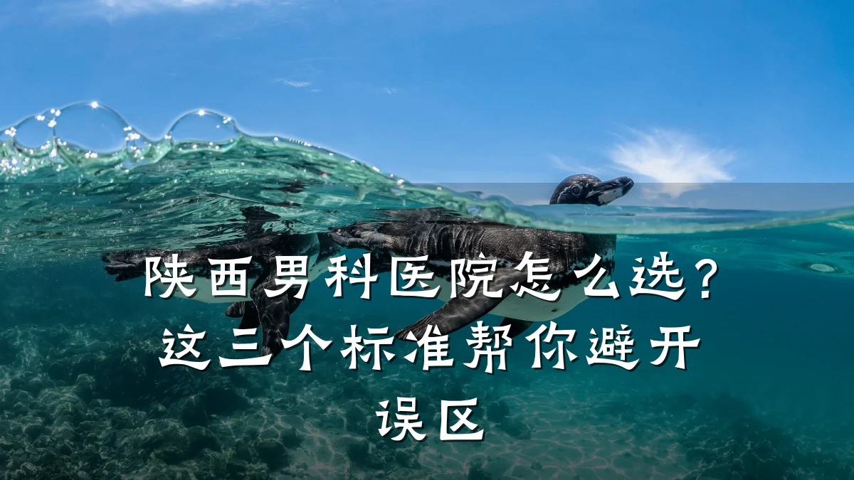 陕西男科医院怎么选?这三个标准帮你避开误区