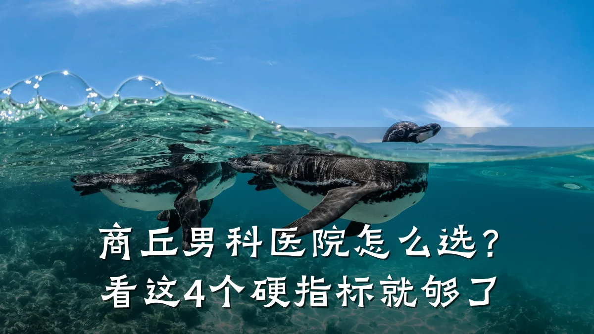 商丘男科医院怎么选?看这4个硬指标就够了