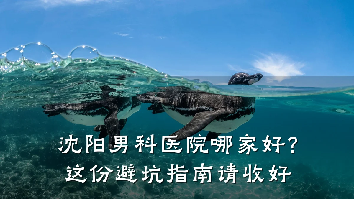 沈阳男科医院哪家好?这份避坑指南请收好