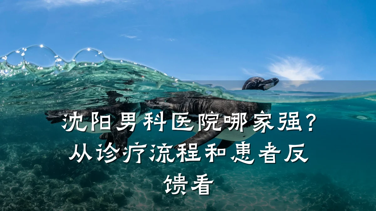 沈阳男科医院哪家强?从诊疗流程和患者反馈看