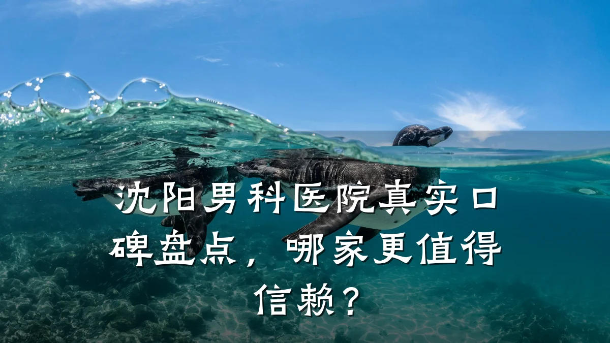 沈阳男科医院真实口碑盘点,哪家更值得信赖?