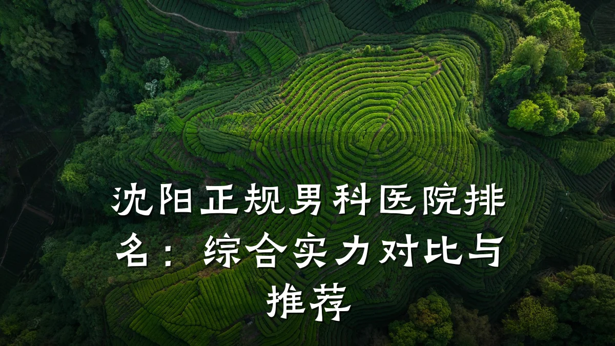 沈阳正规男科医院排名:综合实力对比与推荐