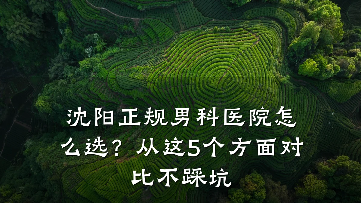 沈阳正规男科医院怎么选?从这5个方面对比不踩坑