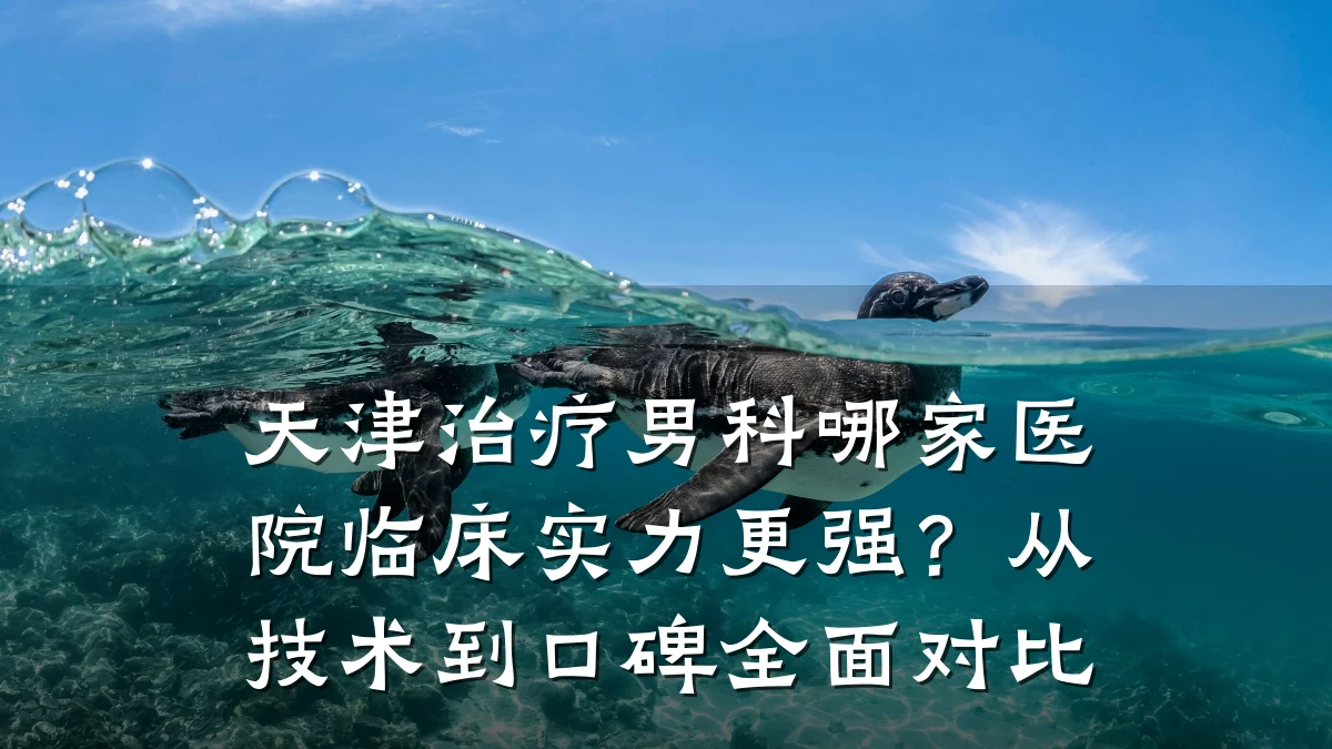 天津治疗男科哪家医院临床实力更强?从技术到口碑全面对比