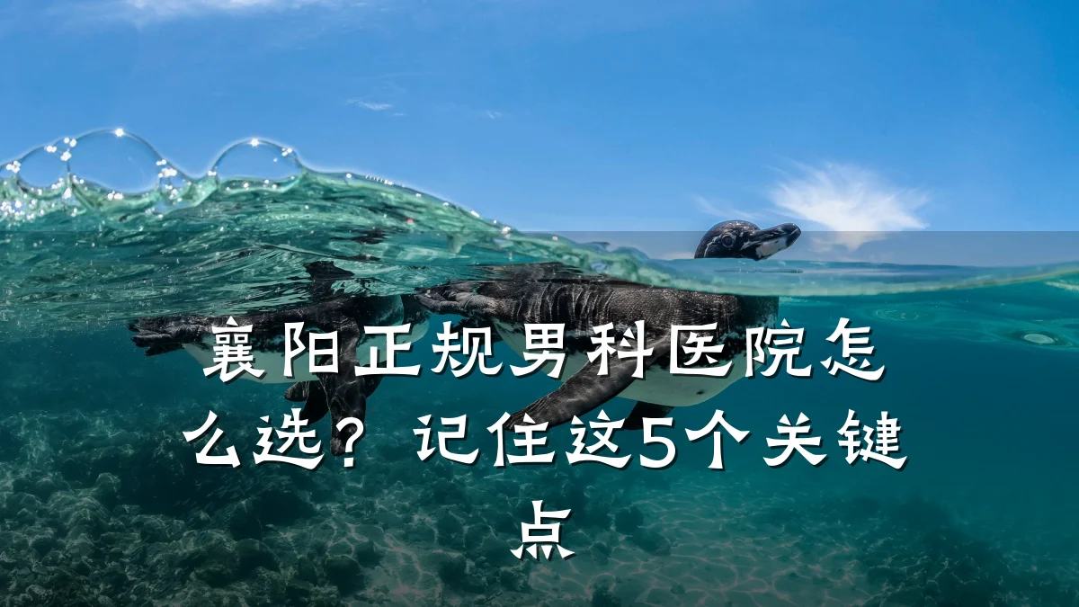 襄阳正规男科医院怎么选?记住这5个关键点