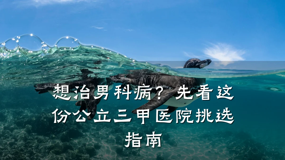 想治男科病?先看这份公立三甲医院挑选指南