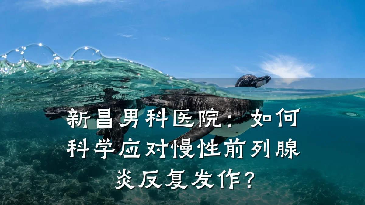 新昌男科医院:如何科学应对慢性前列腺炎反复发作?
