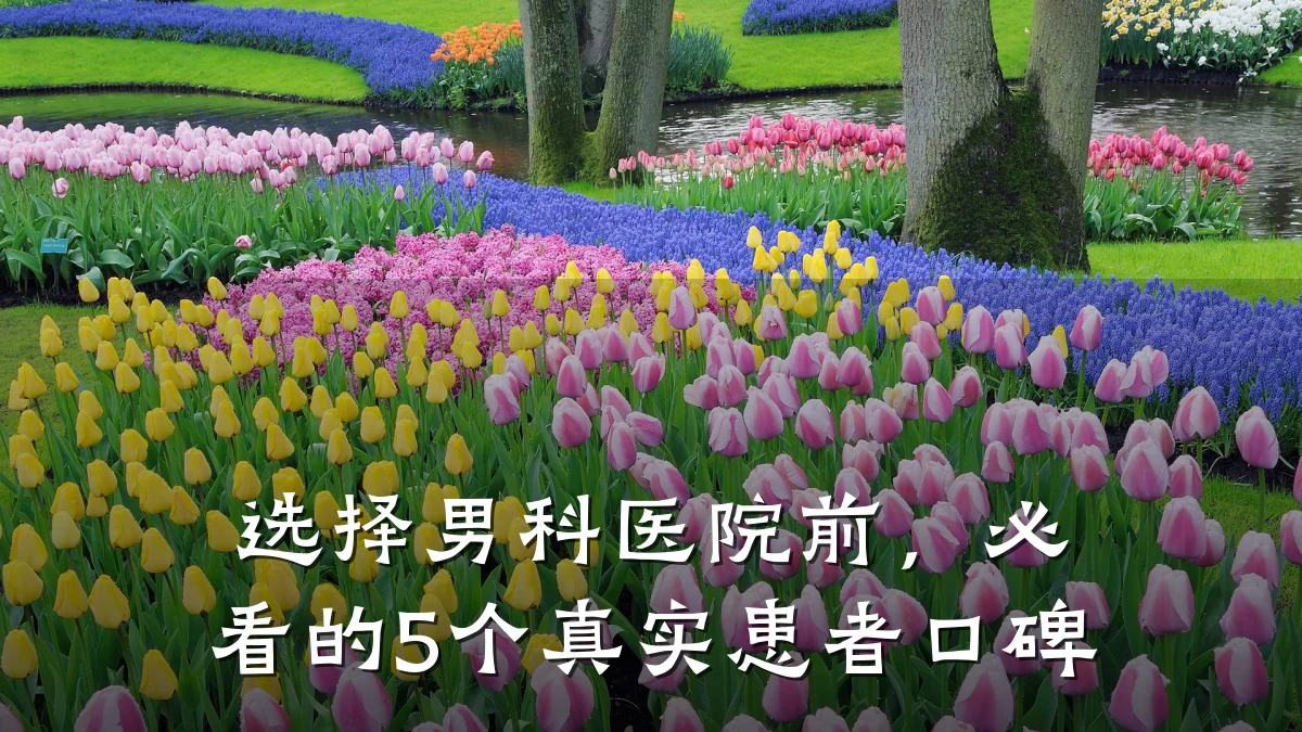 选择男科医院前,必看的5个真实患者口碑