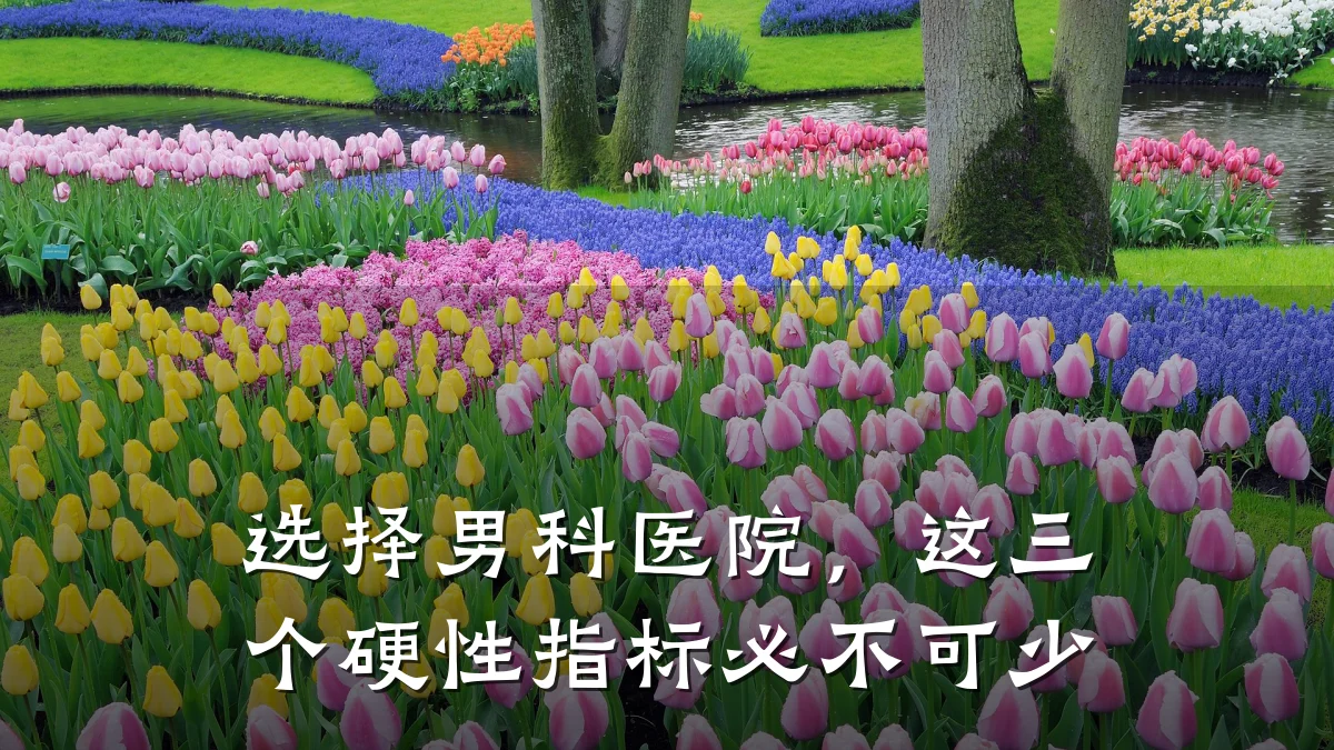 选择男科医院,这三个硬性指标必不可少