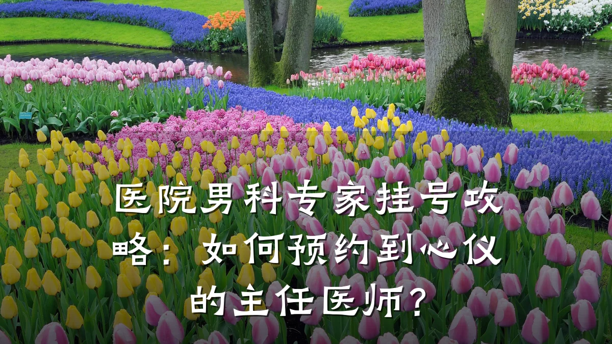 医院男科专家挂号攻略:如何预约到心仪的主任医师?