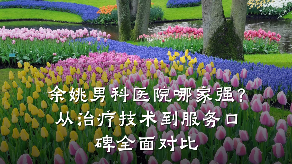 余姚男科医院哪家强?从治疗技术到服务口碑全面对比