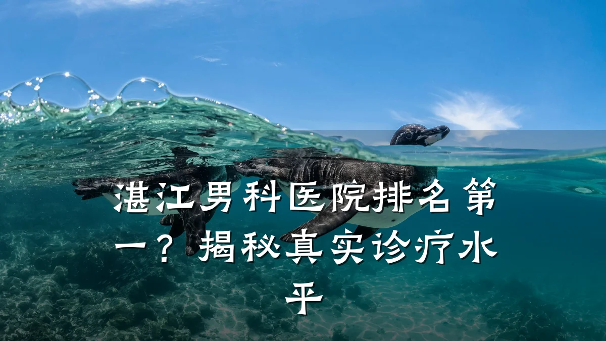湛江男科医院排名第一?揭秘真实诊疗水平