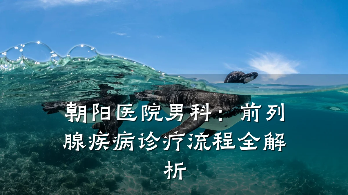 朝阳医院男科:前列腺疾病诊疗流程全解析