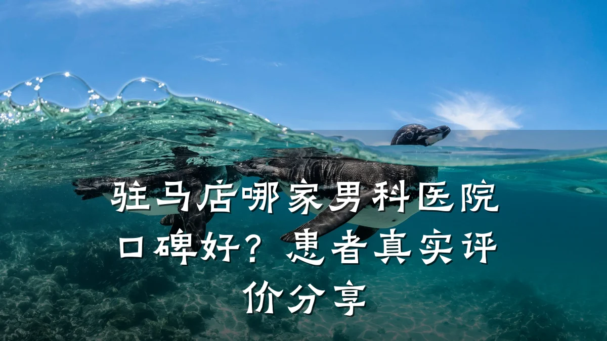 驻马店哪家男科医院口碑好?患者真实评价分享