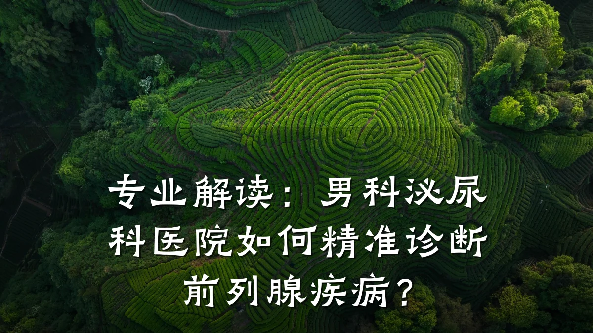 专业解读:男科泌尿科医院如何精准诊断前列腺疾病?