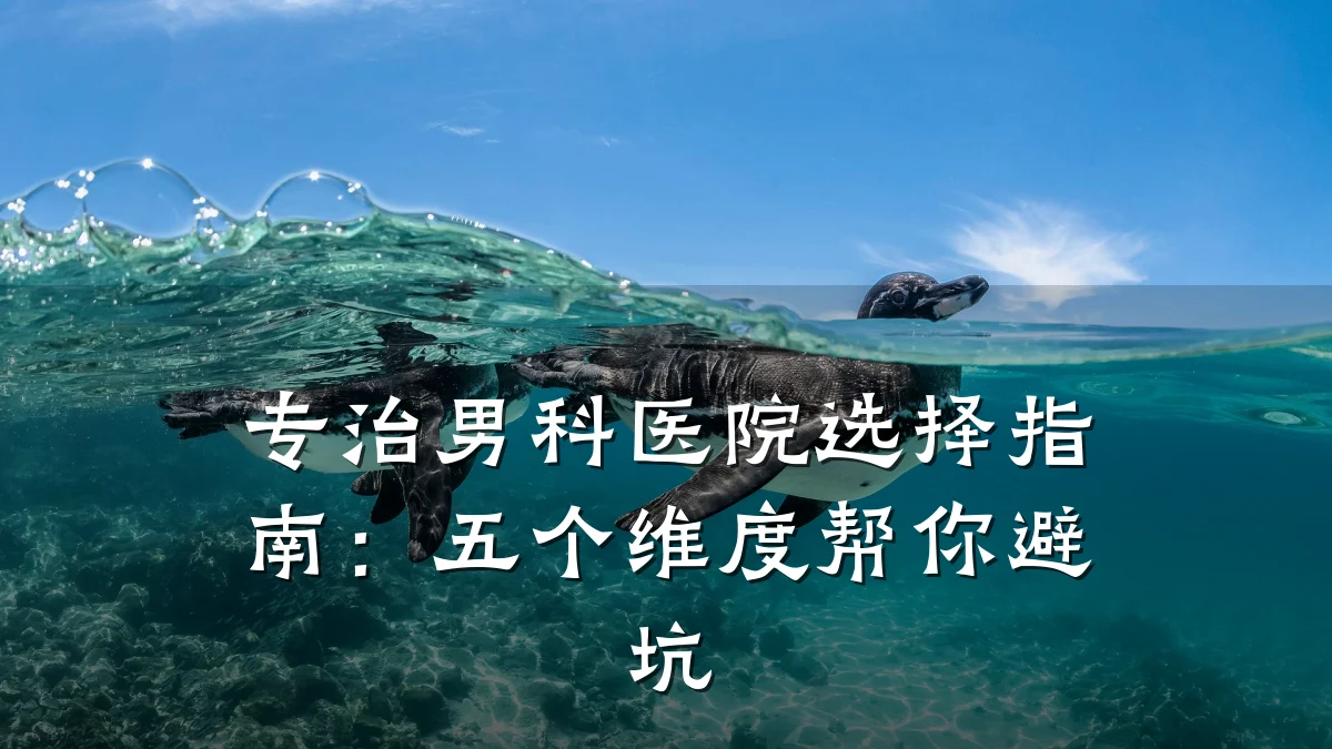 专治男科医院选择指南:五个维度帮你避坑