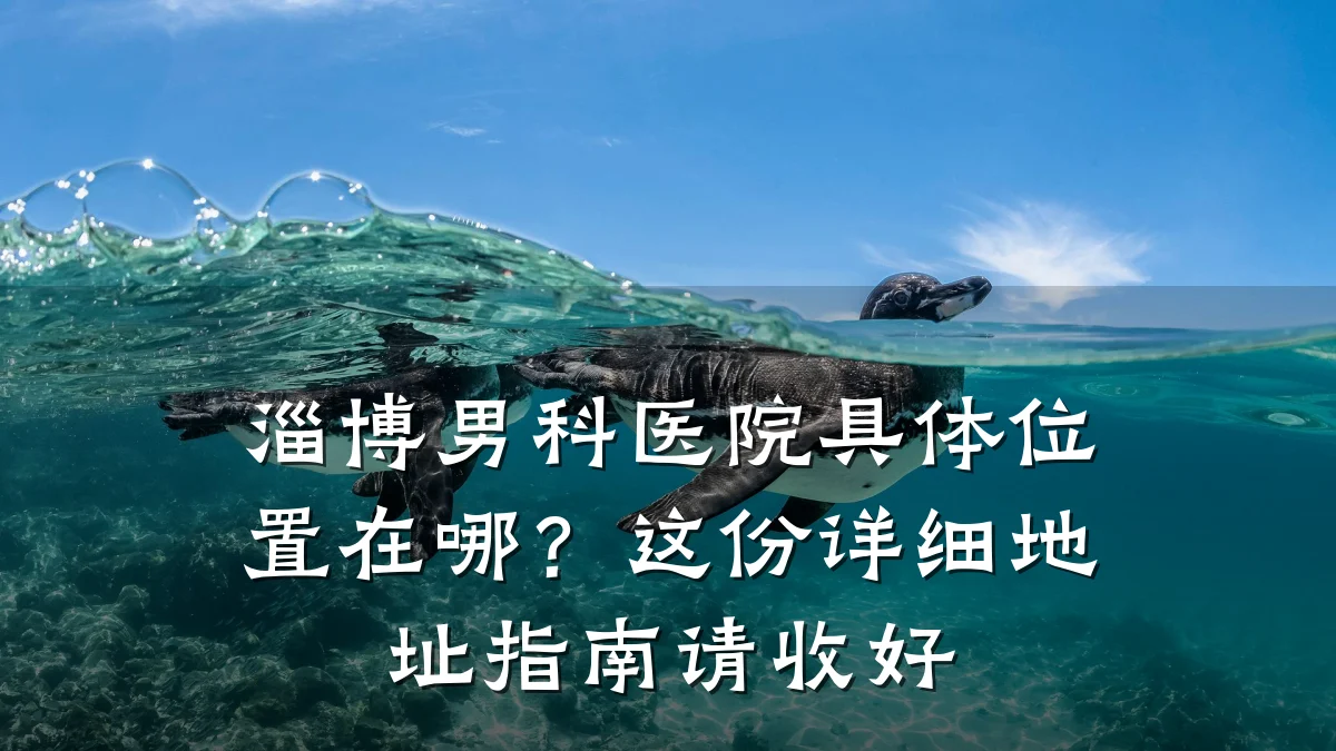 淄博男科医院具体位置在哪?这份详细地址指南请收好