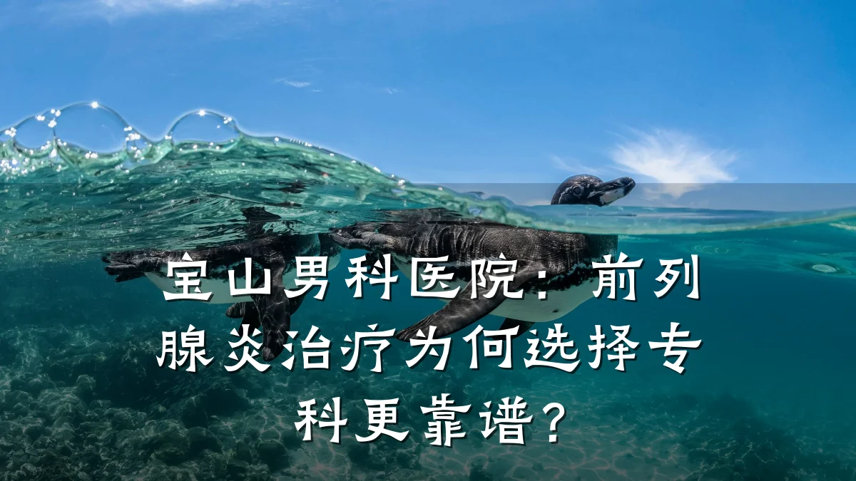 宝山男科医院:前列腺炎治疗为何选择专科更靠谱?
