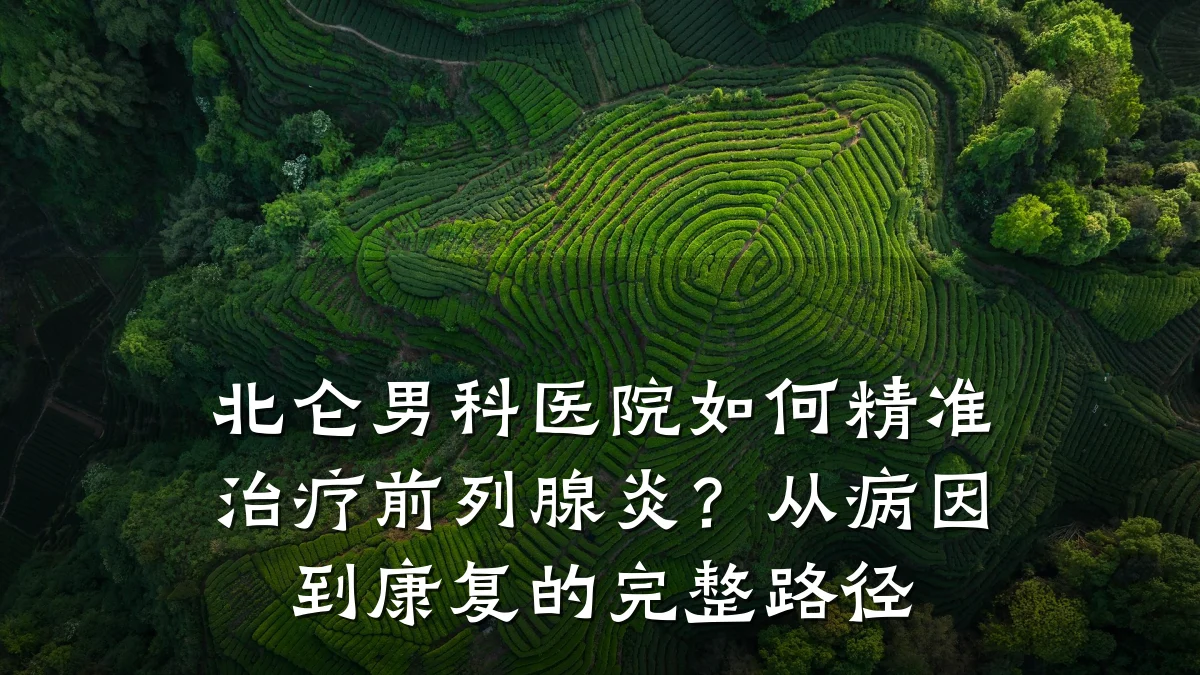 北仑男科医院如何精准治疗前列腺炎?从病因到康复的完整路径