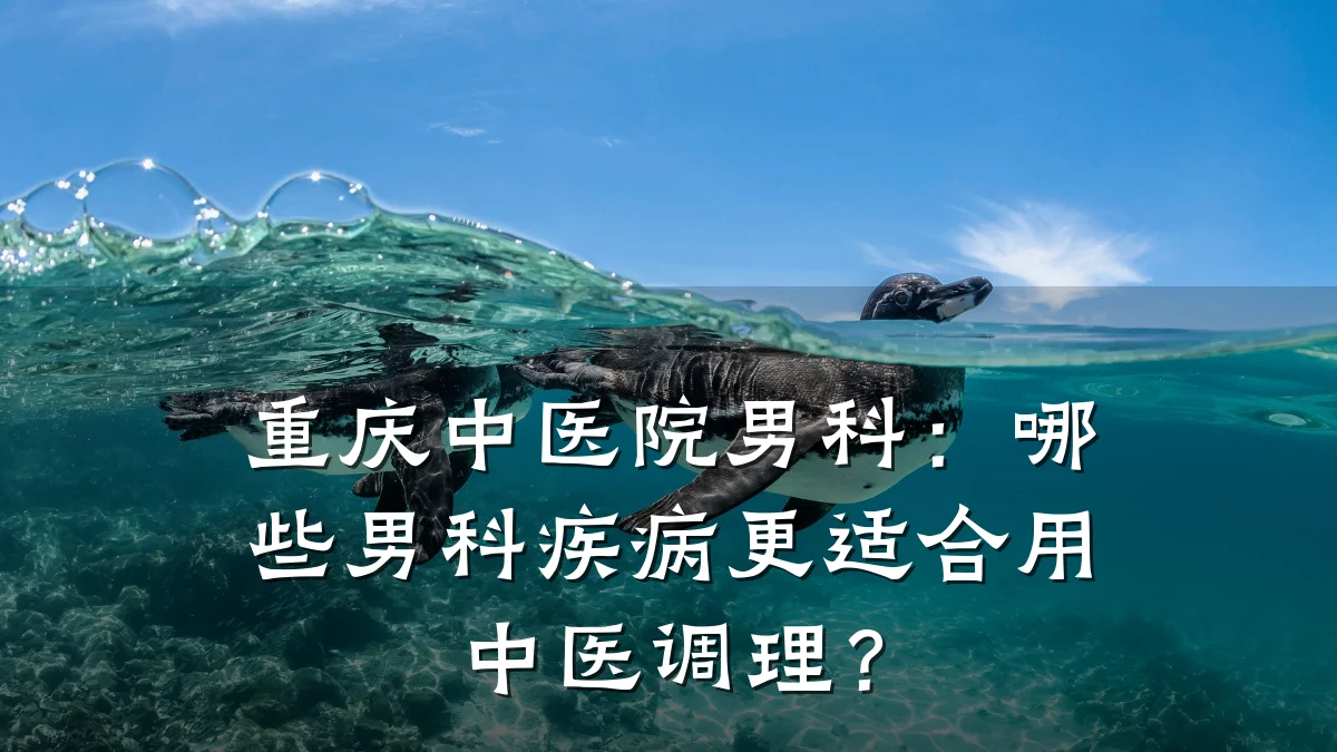 重庆中医院男科:哪些男科疾病更适合用中医调理?
