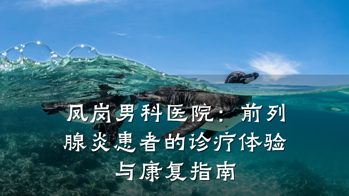 凤岗男科医院:前列腺炎患者的诊疗体验与康复指南
