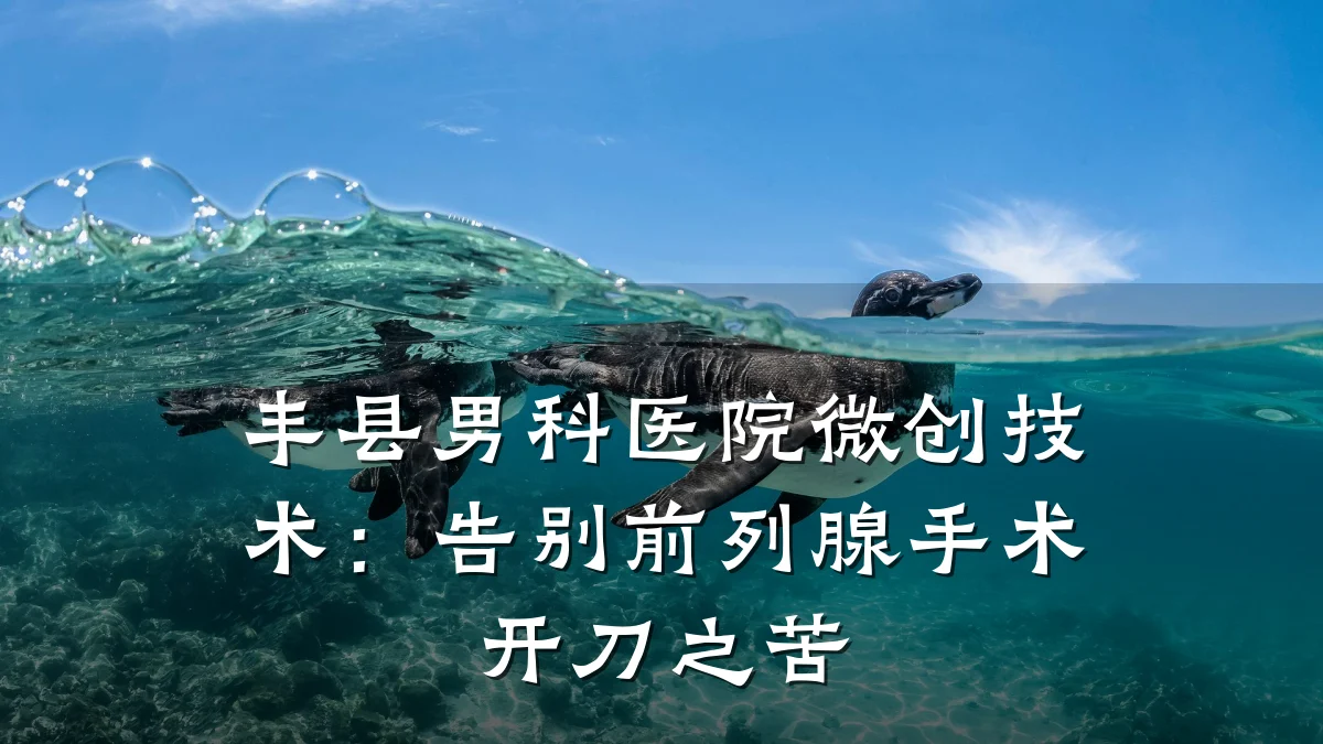 丰县男科医院微创技术:告别前列腺手术开刀之苦