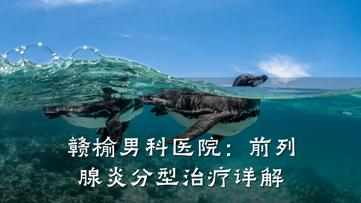 赣榆男科医院:前列腺炎分型治疗详解