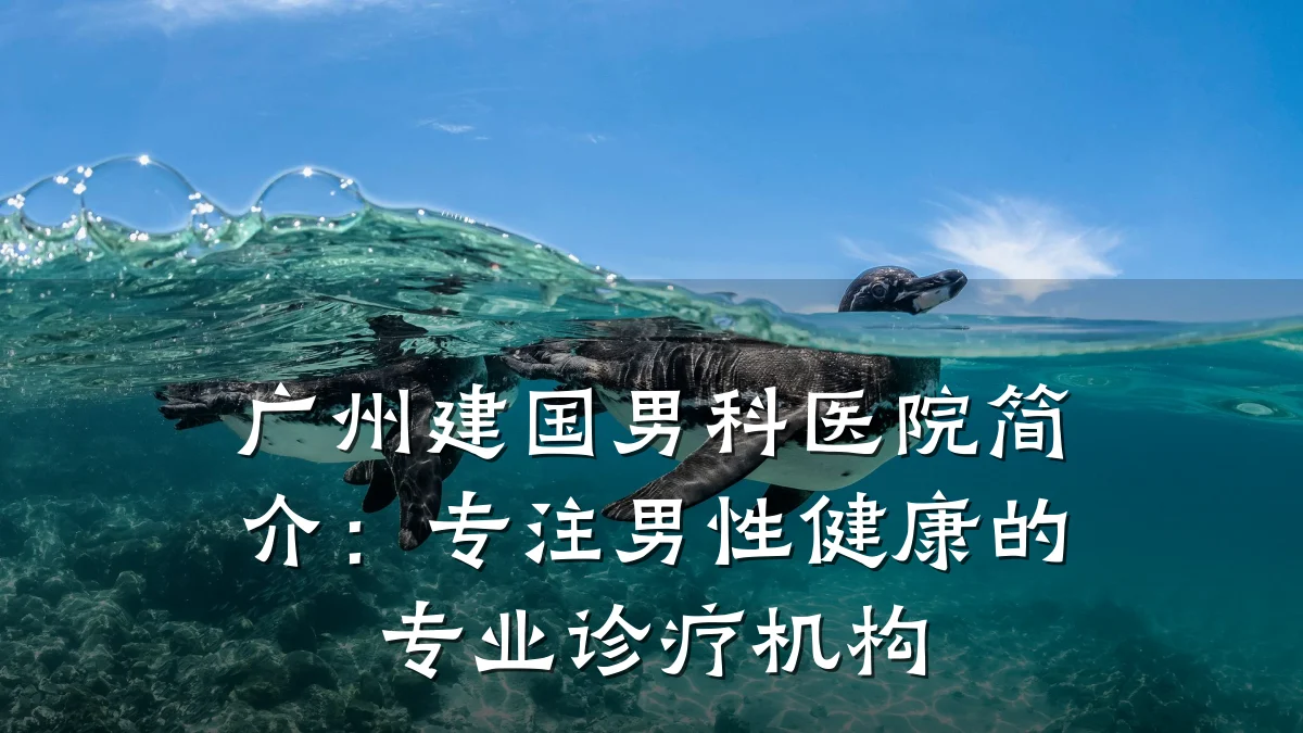 广州建国男科医院简介:专注男性健康的专业诊疗机构