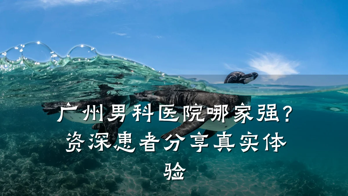 广州男科医院哪家强?资深患者分享真实体验