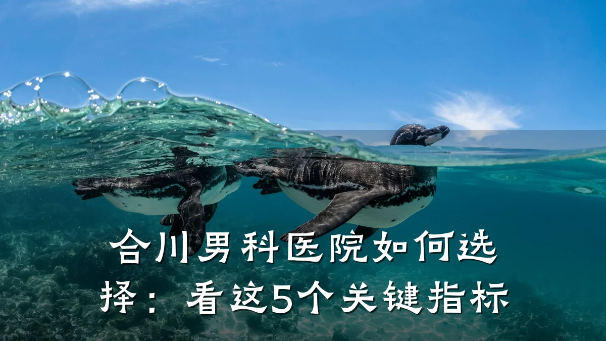 合川男科医院如何选择:看这5个关键指标