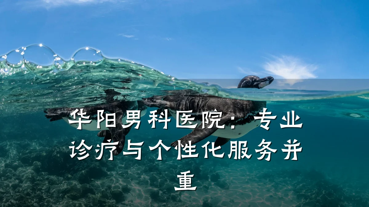 华阳男科医院:专业诊疗与个性化服务并重