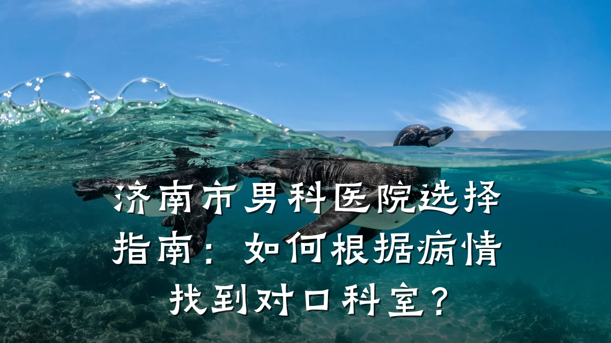 济南市男科医院选择指南:如何根据病情找到对口科室?