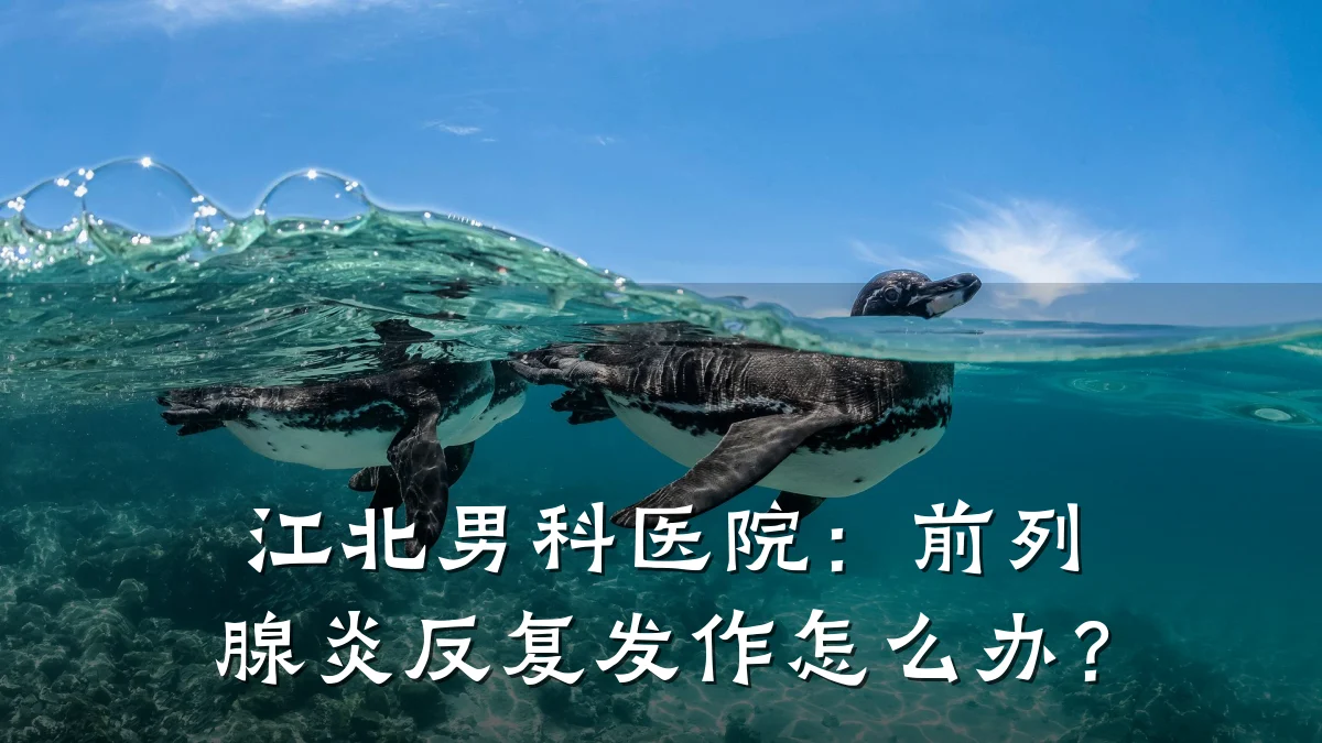 江北男科医院:前列腺炎反复发作怎么办?