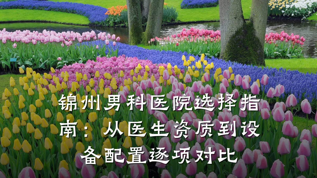 锦州男科医院选择指南:从医生资质到设备配置逐项对比