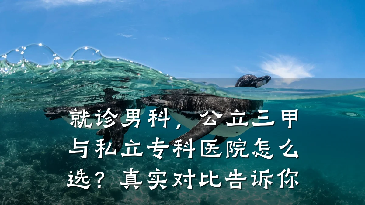 就诊男科,公立三甲与私立专科医院怎么选?真实对比告诉你