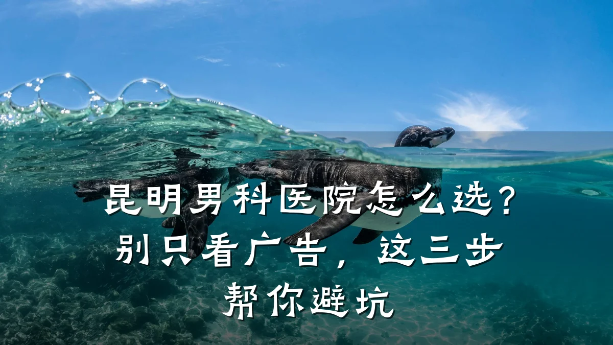 昆明男科医院怎么选?别只看广告,这三步帮你避坑