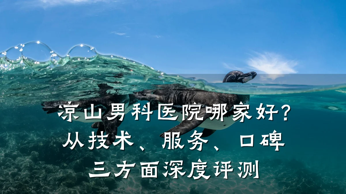 凉山男科医院哪家好?从技术、服务、口碑三方面深度评测