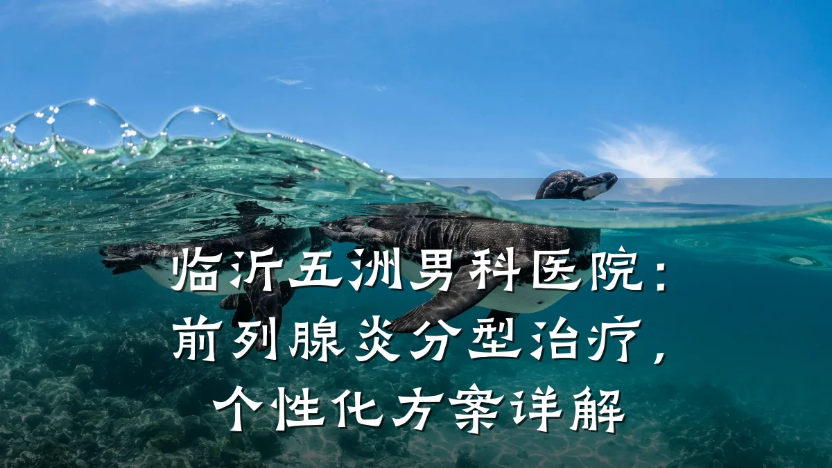临沂五洲男科医院:前列腺炎分型治疗,个性化方案详解