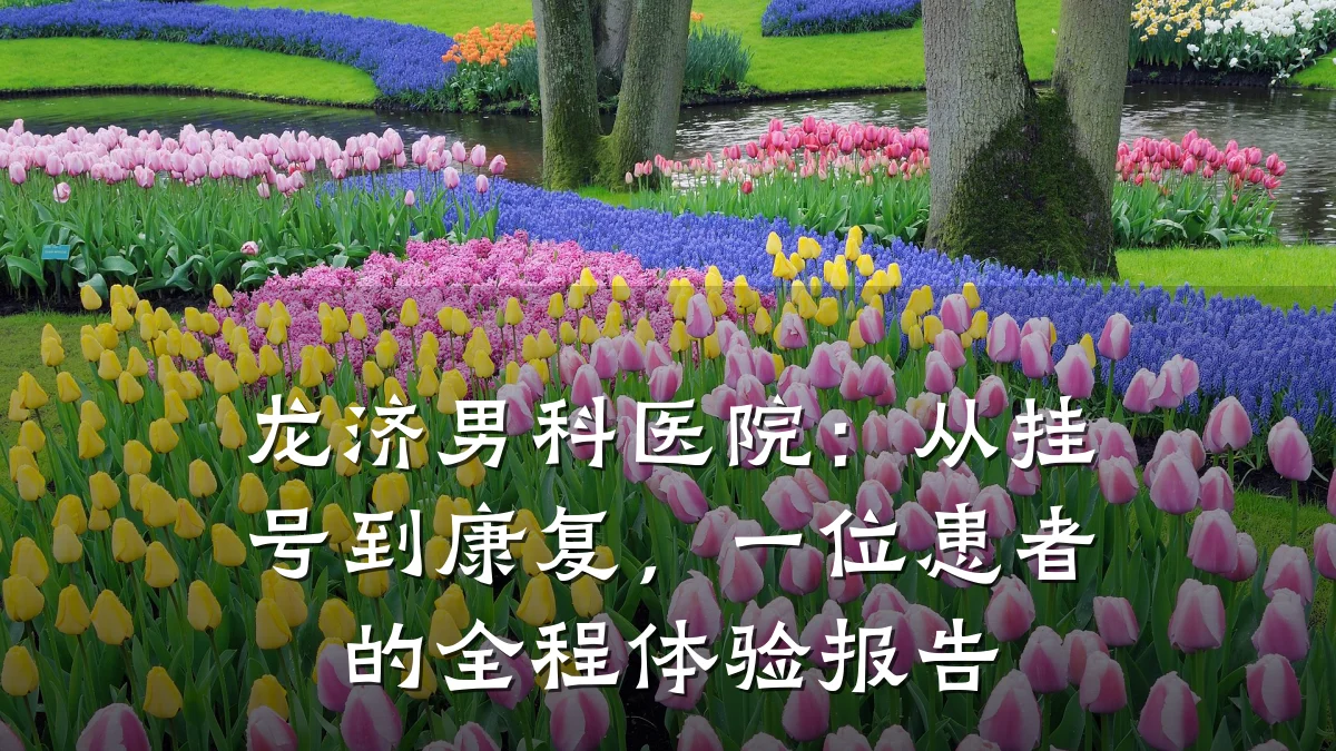 龙济男科医院:从挂号到康复,一位患者的全程体验报告